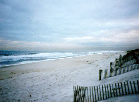 The Beach at Sea Isle