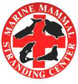 Logo of the Marine Mammal Stranding Center